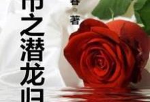 小说《都市之潜龙归来》章节免费阅读-红梅文学