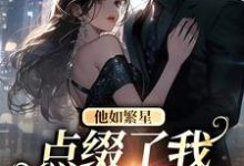 小说《他如繁星,点缀了我整个星空》章节免费阅读-红梅文学