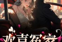 欢喜冤家（ 唐绾宋玺）在线免费阅读-红梅文学