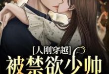 人刚穿越,被禁欲少帅狂宠上天了小说无弹窗阅读的网站推荐-红梅文学