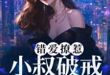 主人公叫男主角时宴女主角南乔的小说哪里免费看-红梅文学