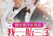 嫁给高冷长官后,我一胎三宝被团宠了小说最新章节在哪里可以读到?-红梅文学