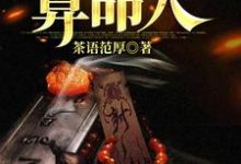 小说《最后一个算命人》在线章节阅读-红梅文学