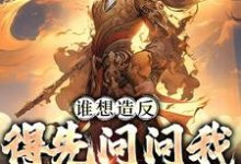 《谁想造反，得先问问我千古一帝》小说大结局免费试读 赵武小说-红梅文学