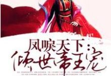 姒倾城南宫月姒云湖薇静小说在哪里可以看-红梅文学