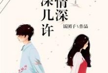 小说《一往情深深几许》章节阅读-红梅文学