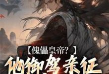 傀儡皇帝？他御驾亲征杀穿天下小说全文哪里可以免费看？-红梅文学