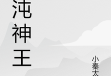 混沌神王最新章节,混沌神王免费阅读-红梅文学