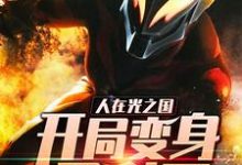 《人在光之国：开局变身贝利亚》小说章节在线试读，《人在光之国：开局变身贝利亚》最新章节目录-红梅文学