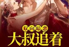方简顾淮言的小说在哪里看?免费在线阅读双向暗恋:大叔追着我不放-红梅文学