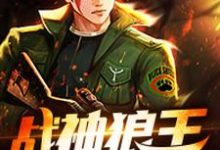 求战神狼王小说的全文免费阅读链接-红梅文学