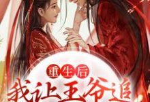 重生后,我让王爷追妻火葬场了小说的免费阅读版本在哪里可以找到?-红梅文学