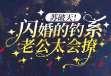 商时序沈枝意是哪本书的主角?寻找苏破天!闪婚的钓系老公太会撩免费阅读-红梅文学