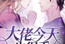 完结版《大佬今天也很乖》免费阅读-红梅文学