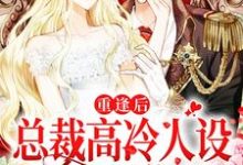 陆时安孟御为主角的小说好看吗?求重逢后,总裁高冷人设又立不住了免费试读-红梅文学
