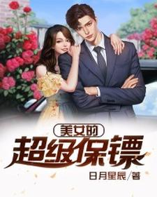 美女的超级保镖小说，美女的超级保镖 林枫苏小蛮