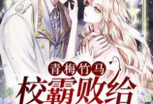 完整版的青梅竹马：校霸败给小甜妹小说在哪里可以免费读到？-红梅文学