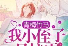 《青梅竹马:我小侄子是校霸》小说主角江稚沈辞安章节章节免费在线阅读-红梅文学