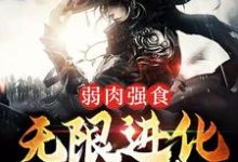 叶天狼爹小说在哪里可以看-红梅文学