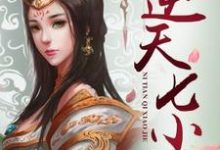 墨小七帝殇李辉冷秋月小说在线章节免费阅读(逆天七小姐无弹窗无删减)-红梅文学