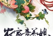 白小菀上官天寰楚烨为主角的小说叫什么?免费看农家童养媳-红梅文学
