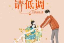 夏默子桑桑是哪本书的主角?甜宠暖婚:总裁宠妻请低调免费读-红梅文学