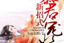 暴君宠妃新招式颜千夏慕容烈小说大结局免费试读-红梅文学