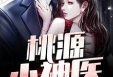 王小善小辣椒为主角的小说好看吗?免费读桃源小神医-红梅文学
