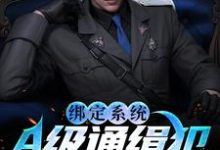 绑定系统:A级通缉犯说抓就抓小说无弹窗阅读的网站推荐-红梅文学