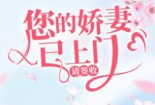求您的娇妻已上门,请签收小说免费资源-红梅文学