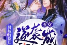 小说《替嫁奸臣后，丑女逆袭成摄政王妃》在线章节阅读-红梅文学