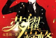 荣耀巅峰小说有没有完结版在线？-红梅文学