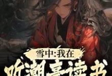雪中:我在听潮亭读书成陆地神仙徐麒麟小说在线章节目录阅读最新章节-红梅文学