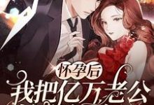 《怀孕后,我把亿万老公始乱终弃了》全集免费在线阅读(宁海棠肖煜辰)-红梅文学