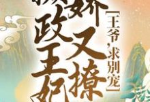 林纤仙南御冥小说《摄政王妃娇又撩:王爷,求别宠!》在线阅读-红梅文学