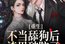 小说《重生不当舔狗后,渣男破防了》在线章节阅读-红梅文学