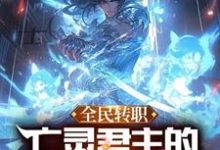 全民转职:亡灵君主的我可以斩神!(陈云)在线免费阅读-红梅文学