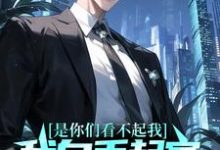 秦凡小说叫什么（是你们看不起我，我白手起家你们哭什么？免费阅读）-红梅文学