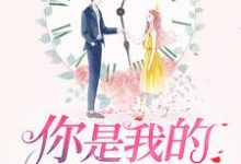 你是我的万分之一糖宋沐晨陆怀晞在线章节免费阅读-红梅文学