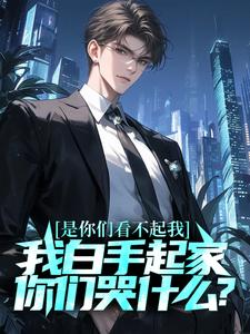 小说《是你们看不起我，我白手起家你们哭什么？》章节免费阅读