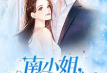 南鱼陆少轩是哪本书的主角?南小姐,复婚请签字免费读-红梅文学