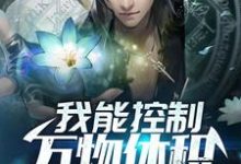 秦风林可可是哪本书的主角?我能控制万物体积免费读-红梅文学