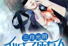 三月光阴，我成了所有人的意难平这本小说怎么样？免费在线阅读试试-红梅文学