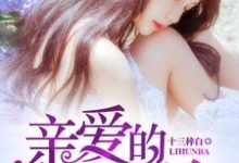 亲爱的，离婚吧夏林陆南笙蓝希莫厉琛小说免费阅读-红梅文学