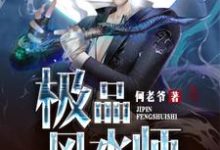极品风水师免费阅读,极品风水师章节目录-红梅文学