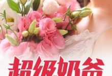 萧风沈冰倾小说《超级奶爸》在线阅读-红梅文学