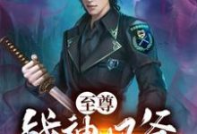 免费看至尊战神奶爸小说的网站有哪些？-红梅文学