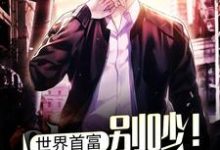 男女主人公马林小说世界首富:别吵!忙着亏钱!章节免费阅读-红梅文学