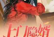 上门隐婿秦风苏若凝夏春雪南宫秋雨，上门隐婿章节在线阅读-红梅文学