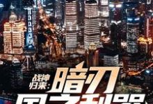战神归来:暗刃国之利器萧风小说在线章节免费阅读-红梅文学